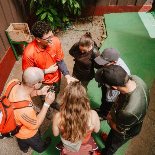 Coffee Tour, Chocolate Tour and Sugar Cane Tour