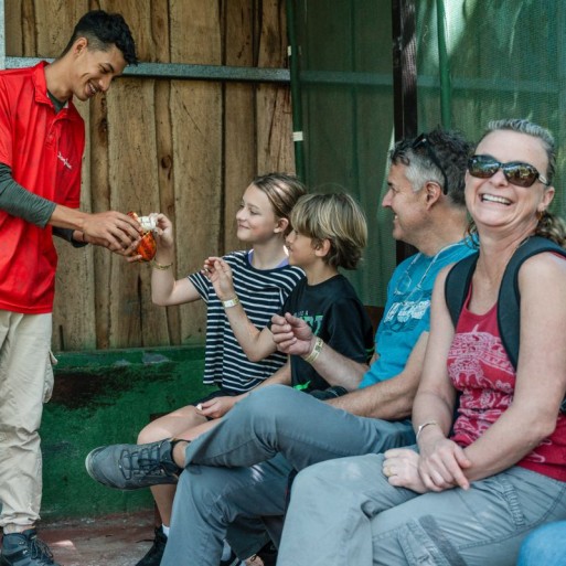 Tour del Café - Tour del Chocolate y Paseo Nocturno
