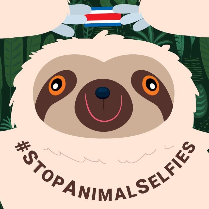 Stop Animal Selfies